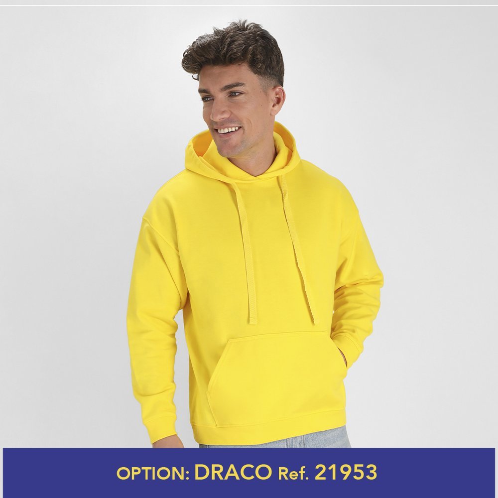 Hoodie SWP280